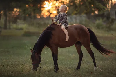 Девушка около лошади в платье | Обои для телефона