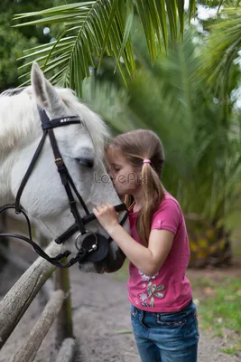 Девушка и лошадь. | Истории, рассказы. | Дзен