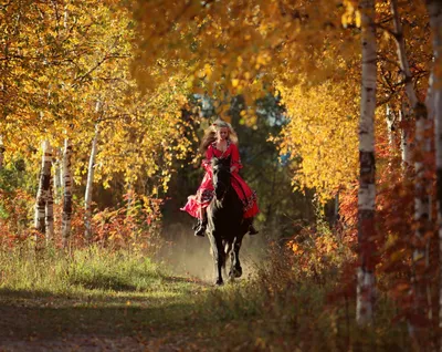 Молодая девушка и лошадь в поле стоковое фото ©melory 1522588