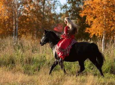 Девушка И Лошадь Конкур Стоковые Фотографии | FreeImages