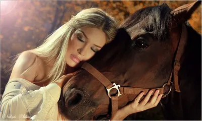 Девушка и лошадь стоковое фото. изображение насчитывающей приятельство -  58806986
