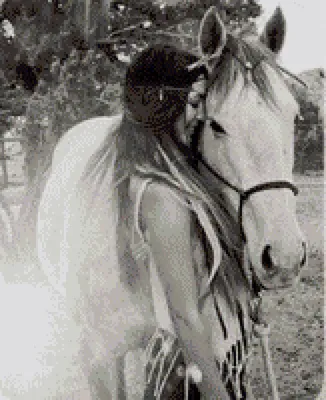 Предпросмотр схемы вышивки «Девушка и лошадь» (№505858) - Вышивка крестом