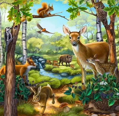 Как ученые наблюдают за животными в дикой природе? | Пикабу