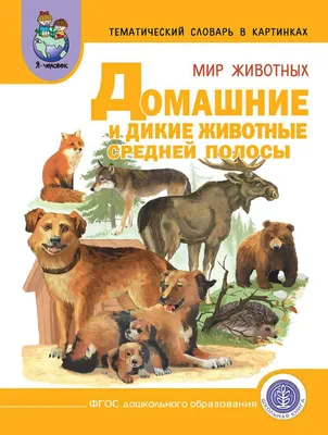 Дикие животные выходят в город, потеряв страх перед кормящим их человеком —  томские власти - Томский Обзор – новости в Томске сегодня