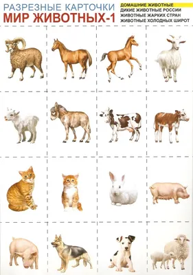Разрезные карточки \"Мир животных -1\"-купить развивающие карточки - интернет  магазин - доставка по России