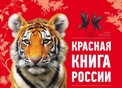 Защита и помощь: спасение редких видов животных России | Национальные  проекты России