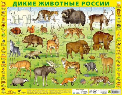 пазлы 63 элемента: Дикие животные России. Детский пазл на подложке(36х28см,  63 эл.)