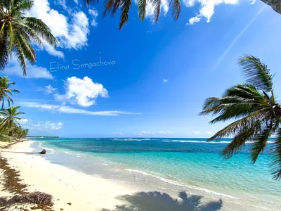 Дикий пляж Увероальто в Доминикане: фото, как добраться, полезные советы