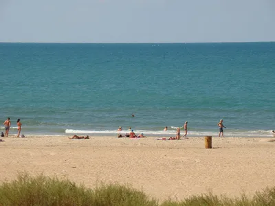 Песчаные дюны, дорогие арбузы и быстрые электрички: дикий пляж в Затоке  привлекает все больше туристов | Новости Одессы