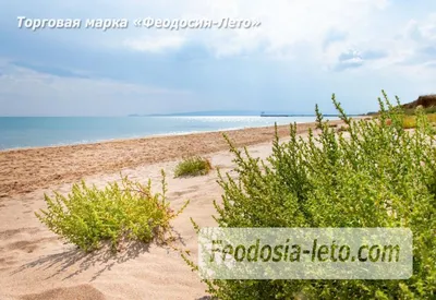 Пустой дикий пляж. стоковое изображение. изображение насчитывающей климат -  190385301