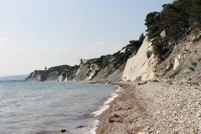 Дикий пляж в Кринице 2019, фото отдыха на пляже Криницы | Блог ТВИЛ