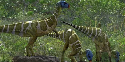 DINOZZZ 3D Coloring