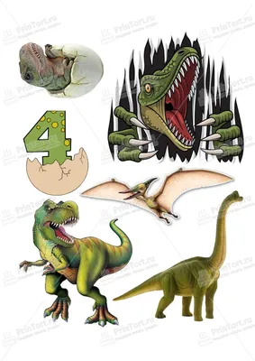 Динозавры картинки для печати фотографии