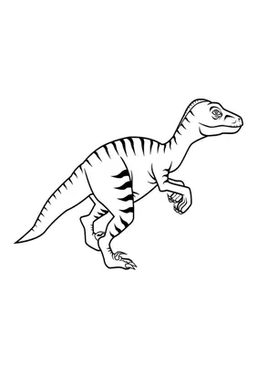 Раскраски динозавры для детей распечатать и скачать, картинки разукрашки  динозавриков для мальчиков