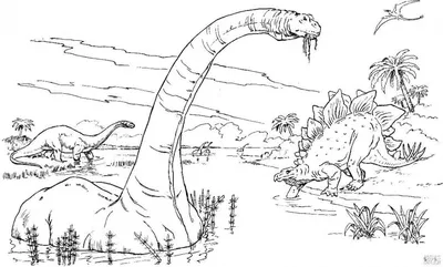 Динозавры раскраски для детей с разными видами животных черно-белый рабочий  лист | Премиум векторы