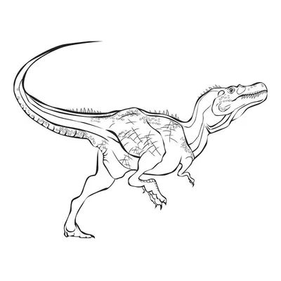 Раскраски Динозавры - распечатать или скачать | Мишкины книжки