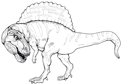Динозавры раскраски и картинки для детского творчества