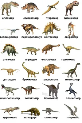 Динозавры картинки