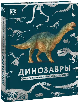 Тест: сможете ли Вы отличить травоядных динозавров от хищников. Всего 10  вопросов | Мегалодон | Дзен