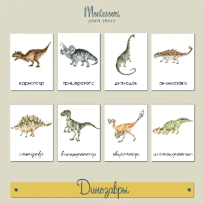 Трехчастные карточки Динозавры - карточки Монтесссори купить и скачать