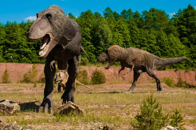 Геологи выяснили, что убивший динозавров астероид высвободил энергию 10  млрд атомных бомб - Газета.Ru | Новости