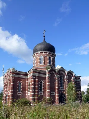 Фото с Диомидом Виноградовым, больше чем просто красивые кадры