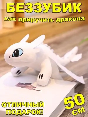 Дневная Фурия PM70038 от Playmobil за 5 730 руб. Купить на MyPlayMobil.ru