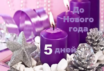 27/12/23 до Нового Года оставалось 5 дней | Лего Малефик | Дзен