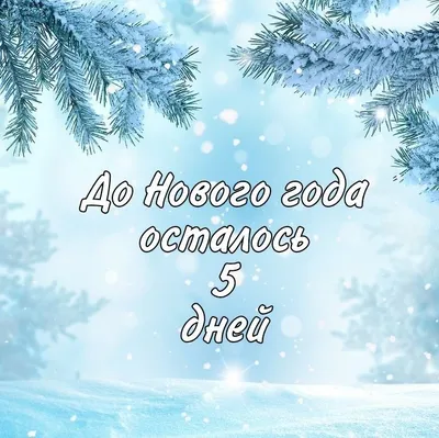 Catery - Всего 5 дней до Нового года! Подарки? Компания? Планы на  новогоднюю ночь? Все уже должно быть спланировано. Если вы не успеваете, то  рекомендуем поторопиться и сделать последний рывок!🙌🏻 Осталось совсем