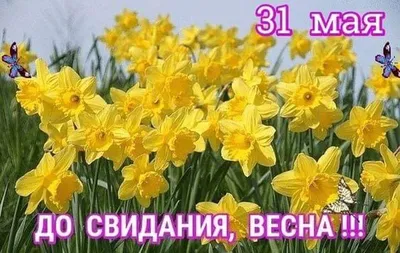 Прощай Весна, Здравствуй Лето!» 2021, Кигинский район — дата и место  проведения, программа мероприятия.