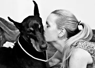 картинки : черное и белое, собака, Млекопитающее, Черный, монохромный, черно -белый, объятие, глава, Доберман, Поцелуи, Светловолосая женщина,  Монохромная фотография, Собака, как млекопитающее 2030x1474 - - 1384841 -  красивые картинки - PxHere