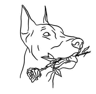 Черно-белый пистолет Добермана, модный роскошный постер, холст, картина с  изображением животного, собаки, Настенная картина для гостиной, домашний  декор, фреска – лучшие товары в онлайн-магазине Джум Гик