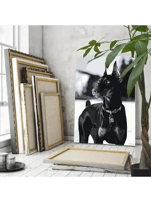 Купить Hypebeast современный черно-белый пистолет Добермана Роскошные  модные постеры с принтами на холсте настенная живопись картина в  скандинавском стиле для комнаты домашний декор | Joom