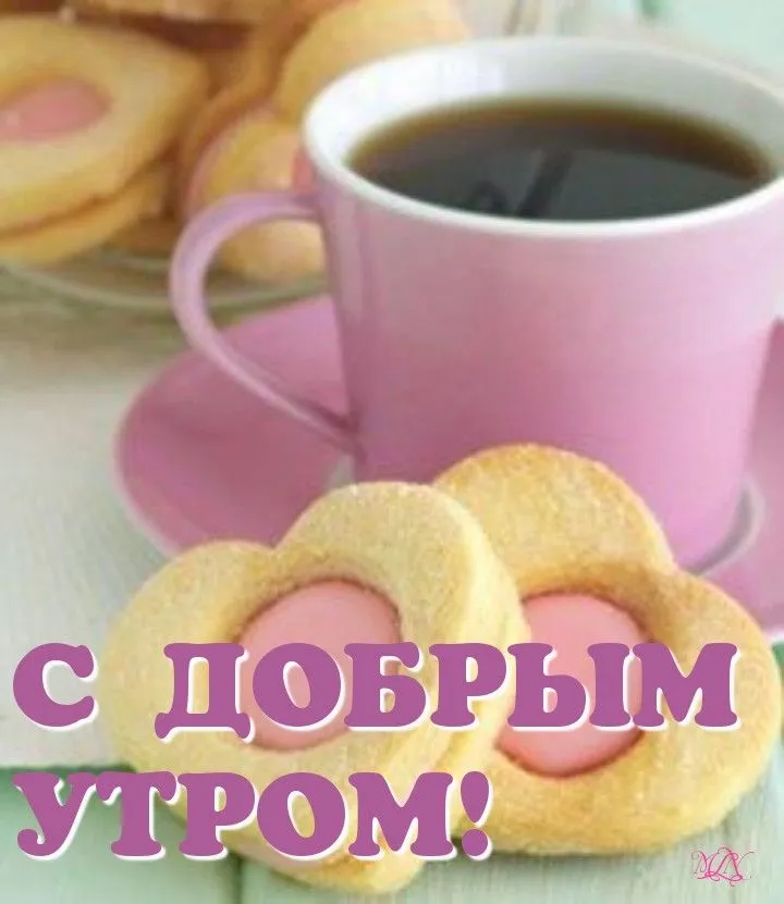 С добрым утром | Доброе утро, Утренние сообщения, Смешные открытки