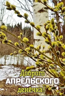 Доброе апрельское утро, КрымПусть этот понедельник начинается с улыбок! -  Лента новостей Крыма