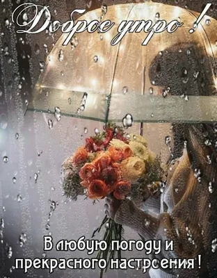 Доброе дождливое утро картинки красивые