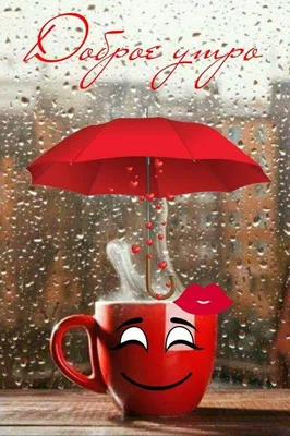 Доброе дождливое утро картинки красивые фотографии