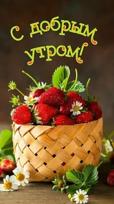 ДОБРОЕ УТРО 🌿🌼🍓🍀🍰☕ ВКУСНОЕ! | Imagens de frutas, Frutas e vegetais,  Framboesas