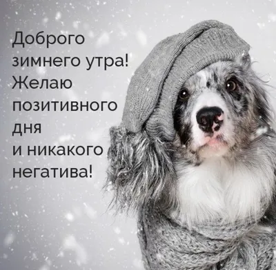 ДОБРОЕ ХОЛОДНОЕ УТРО ❄ A very …» — создано в Шедевруме