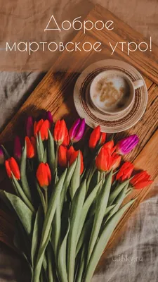 С добрым утром марта - новые красивые картинки (98 ФОТО) в 2023 г | Доброе  утро, Весна, Красивые розы