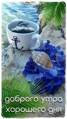 ДОБРОЕ УТРО 🌸🦋☕💐💗🌿☕🦋🌸 ВСЕМ! | Открытки, Доброе утро, Веселые картинки