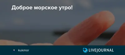 Летние открытки с добрым летним утром