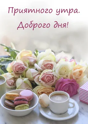 Доброе нежное утро картинки фотографии