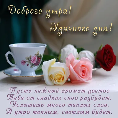 Magiya579 #доброеутро #доброе утро новинки нежные #доброе утро котики... |  TikTok