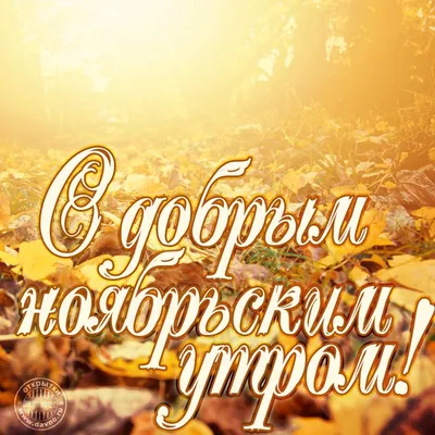 🌹Доброе ноябрьское утро! 10.11.2022🌹🍁💖 | Доброе утро, Счастливые  картинки, Открытки