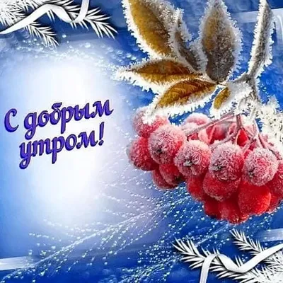 Доброе новогоднее утро и чашечка …» — создано в Шедевруме