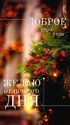 АГС_Утро Доброе Рождественское утро, друзья! Пусть день будет наполнен  душевным теплом, миром,.. | ВКонтакте
