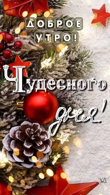 Новогодняя композиция \"Доброе утро, совушка\" купить в интернет-магазине  Ярмарка Мастеров по цене 5000 ₽ – S63SMRU | Елки, Москва - доставка по  России