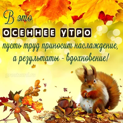 🌞 С добрым осенним утром! 🍁 | Поздравления, пожелания, открытки с Новым  годом! | ВКонтакте