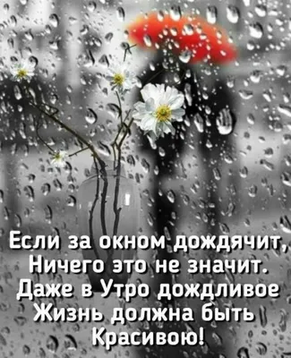 Пин от пользователя Валентина П на доске Дождливое утро | Смешные смайлики, Доброе  утро, Летний дождь